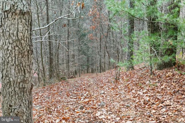 1245 Thompson Hollow Ln, House other with 3 bedrooms, 2 bathrooms and null parking in HONEY GROVE PA | Image 51