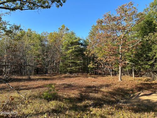 31 Barnes Ln, East Berne, NY, 12059 | Card Image