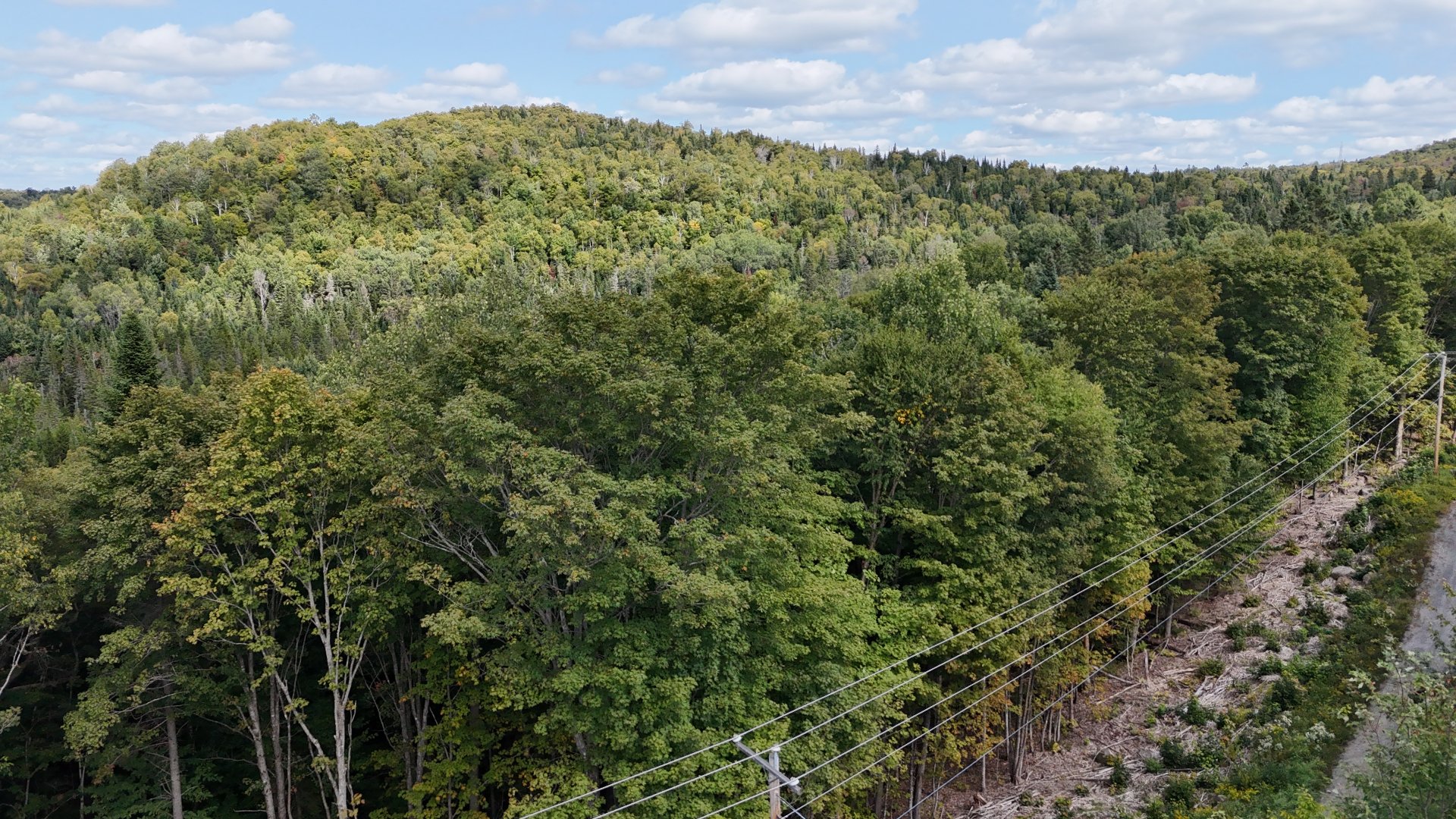 Land in Sainte-Agathe-des-Monts 2