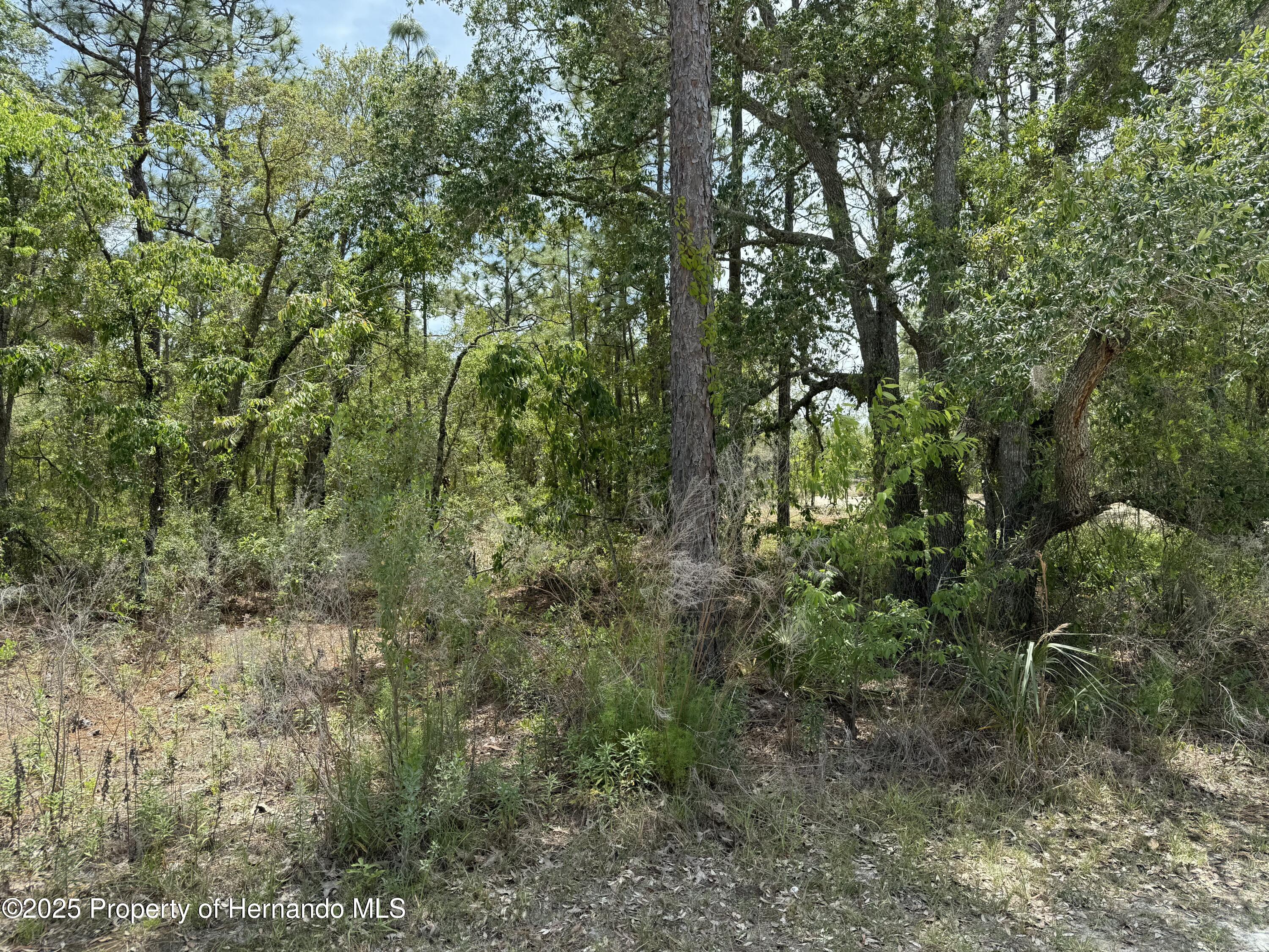 Land in Weeki Wachee