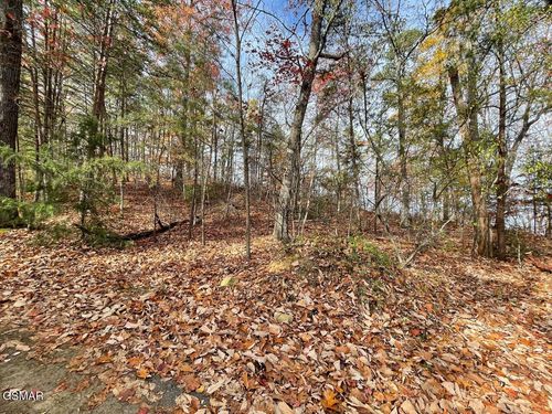 Lot 21R Sugar Mtn Way, Pigeon Forge, TN, 37863 | Card Image