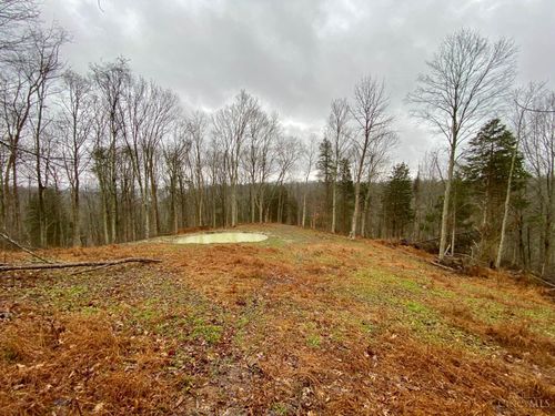 1334 Roush Hill Rd, Manchester, OH, 45144 | Card Image