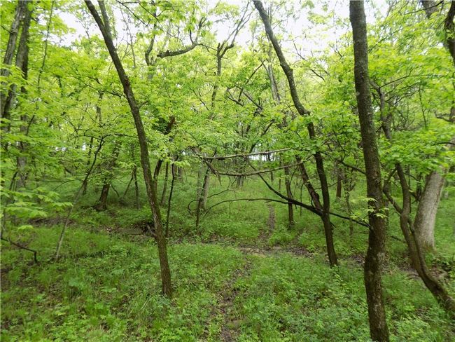 1267 Rock Creek Rd, Home with 0 bedrooms, 0 bathrooms and null parking in Williamsburg KS | Image 8