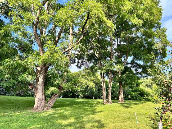 3821 Foss Rd, Home with 0 bedrooms, 0 bathrooms and null parking in Saint Anthony MN | Image 19