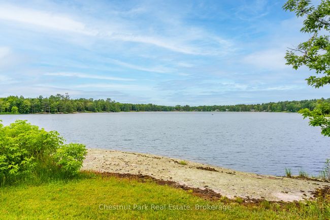 1594 Doe Lake Rd, House other with 4 bedrooms, 2 bathrooms and 2 parking in Gravenhurst ON | Image 50