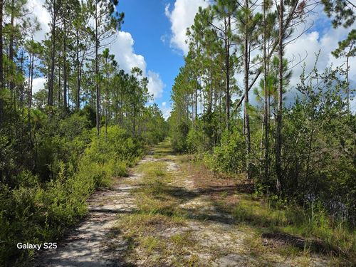 204 Longleaf Rd, Eastpoint, FL, 32328 | Card Image
