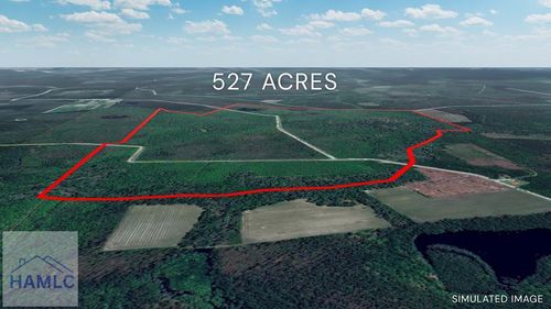 0 Collins Rd, Nicholls, GA, 31554 | Card Image