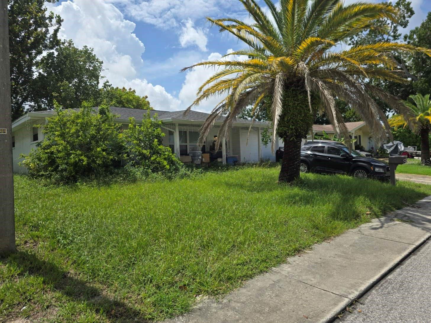 San Carlos Dr, Port Richey, FL 34668