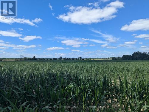 2622 4th Concession Road, Kingston (City North of 401), ON, K0H1Y0 | Card Image