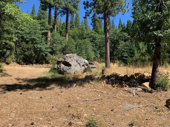 103 Lewis Ln, Home with 0 bedrooms, 0 bathrooms and null parking in Sierra City CA | Image 6