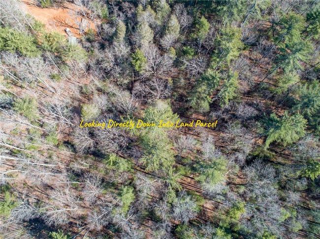0 Bartox Dr, Home with 0 bedrooms, 0 bathrooms and null parking in Ellijay GA | Image 8