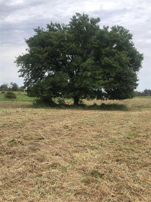 Lot 8 Hummingbird Lane, Stillwater, OK, 74074 | Card Image