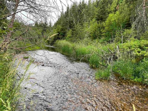 0 Highway 11, Pierce, ID, 83546 | Card Image