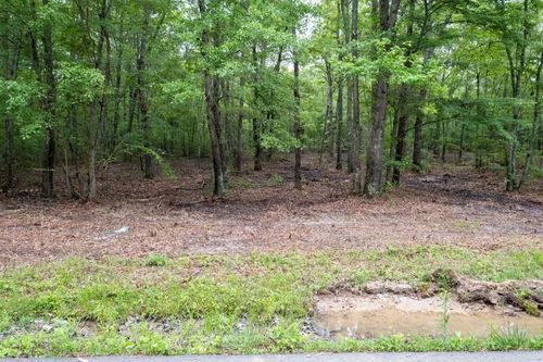 0 Pepper Rd, Taft, TN, 38488 | Card Image