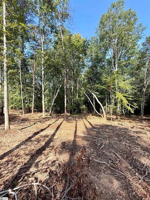 lot-3-0 Thompson Rd, Greer, SC, 29651 | Card Image