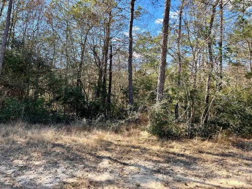 lot-17-11245 Baldwin Ct, Lumberton, TX, 77657 | Card Image