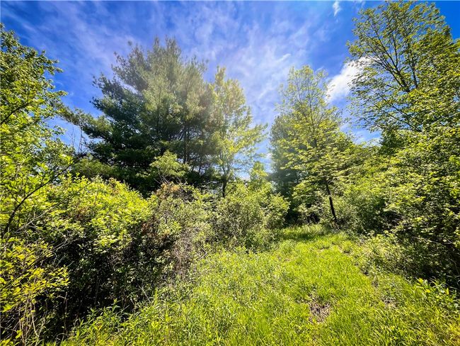 200 Straw Hill Rd, Home with 0 bedrooms, 0 bathrooms and null parking in Barton NY | Image 25