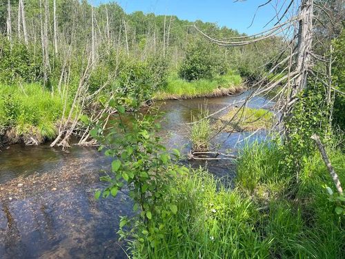 188 W Procunier Rd, Mikado, MI, 48745 | Card Image