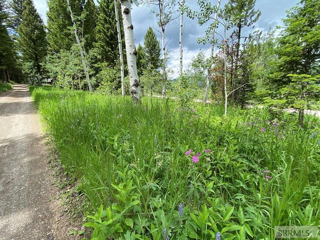 3628 Meadow View Ln, House other with 2 bedrooms, 2 bathrooms and null parking in Island Park ID | Image 44