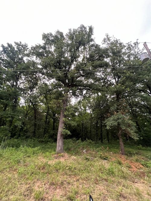 115 Inca Trl, Mabank, TX, 75156 | Card Image