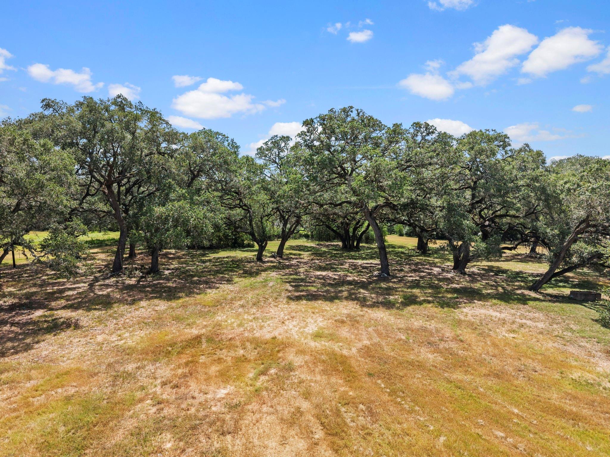 Land in La Grange 5