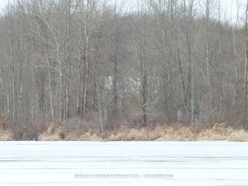 115 County Road 8 N/A, Elizabethtown Kitley, ON, K0E1Y0 | Card Image