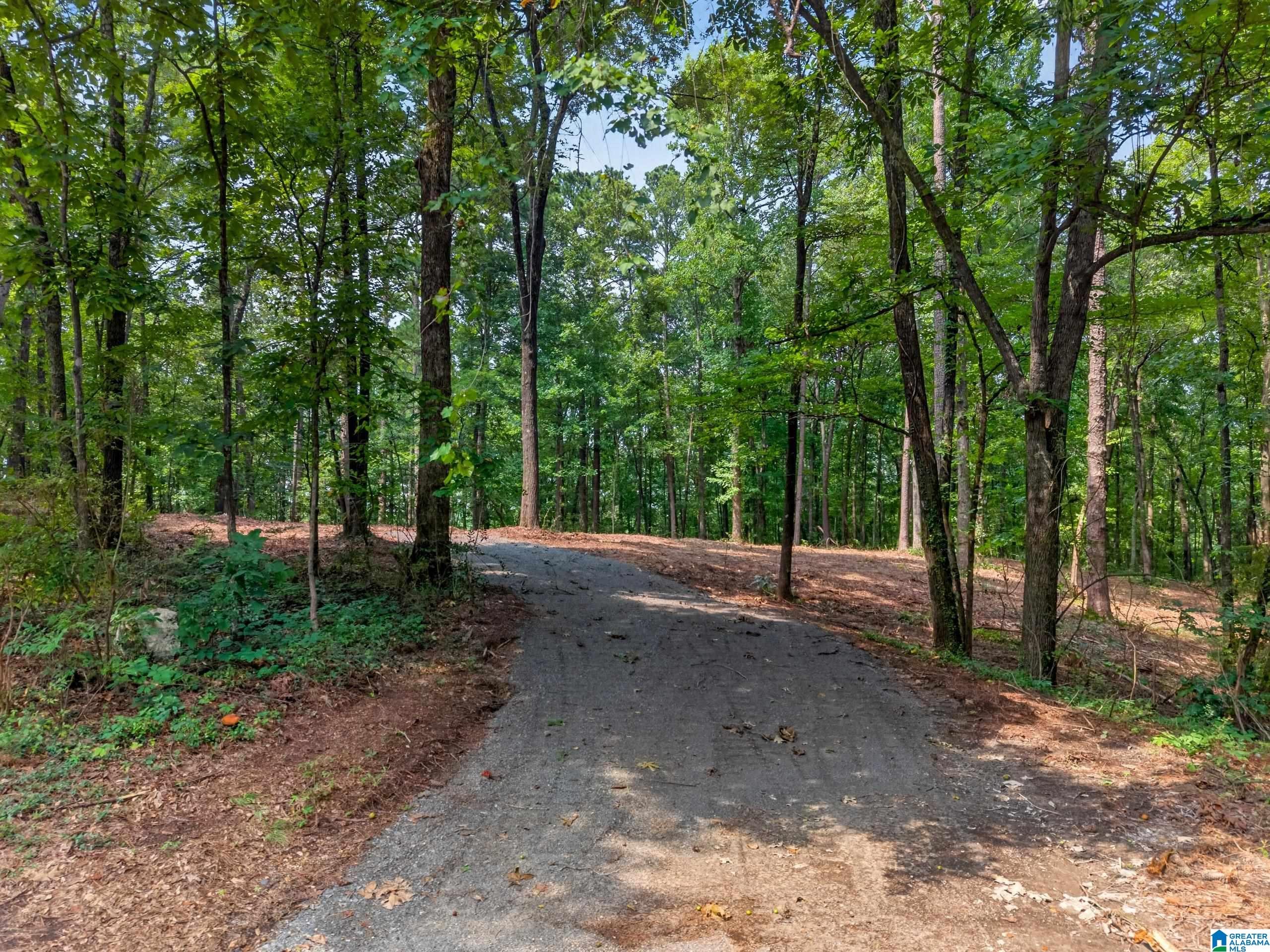 Land in PELL CITY 3