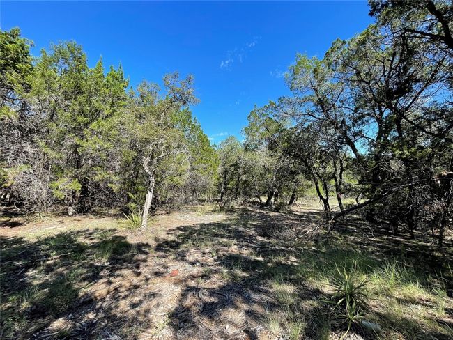 7717 Calcutta Run Dr, Home with 0 bedrooms, 0 bathrooms and null parking in Jonestown TX | Image 5