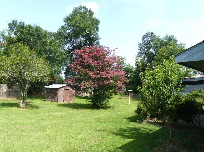 Expansive backyard offering wide-open views and endless possibilities. | Image 15