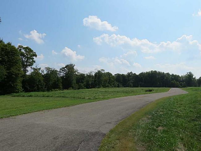 Land. | Image 7