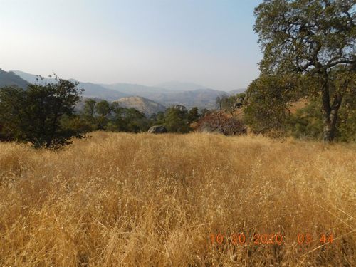 0 Iris Rd, Squaw Valley, CA, 93675 | Card Image