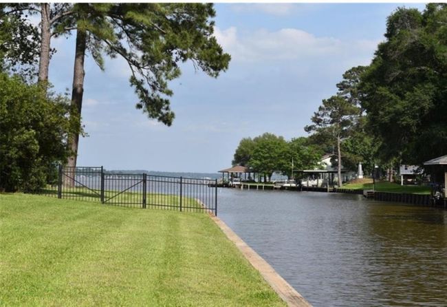 Welcome to Lake Livingston | Image 4