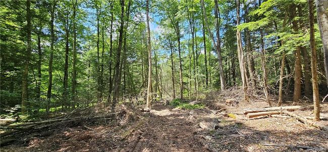 Lot 81.4 County Road 114, Home with 0 bedrooms, 0 bathrooms and null parking in Cochecton NY | Image 7