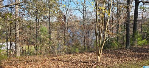 lot-11a-67 Broadwater Dr, Warrior, AL, 35180-6601 | Card Image