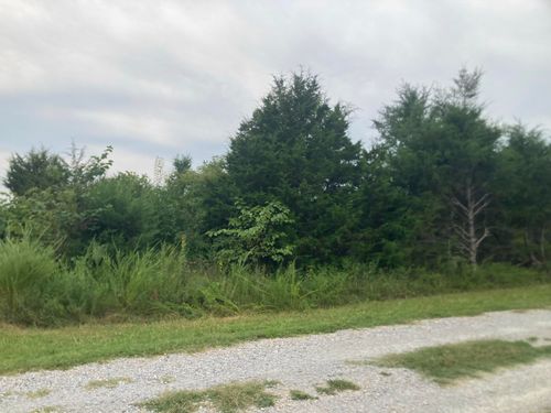 000 Reid Dr, Theodosia, MO, 65761 | Card Image