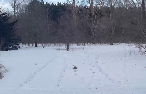 TBD N Riverview Dr Ne, Carlos, MN, 56319 | Card Image