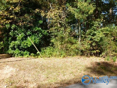 Lot 9 Cherrywood Dr, Guntersville, AL, 35976 | Card Image