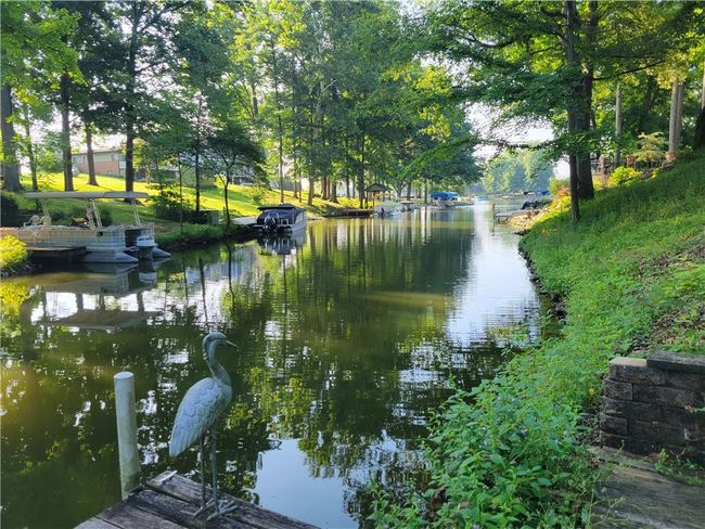 View from the dock | Image 27