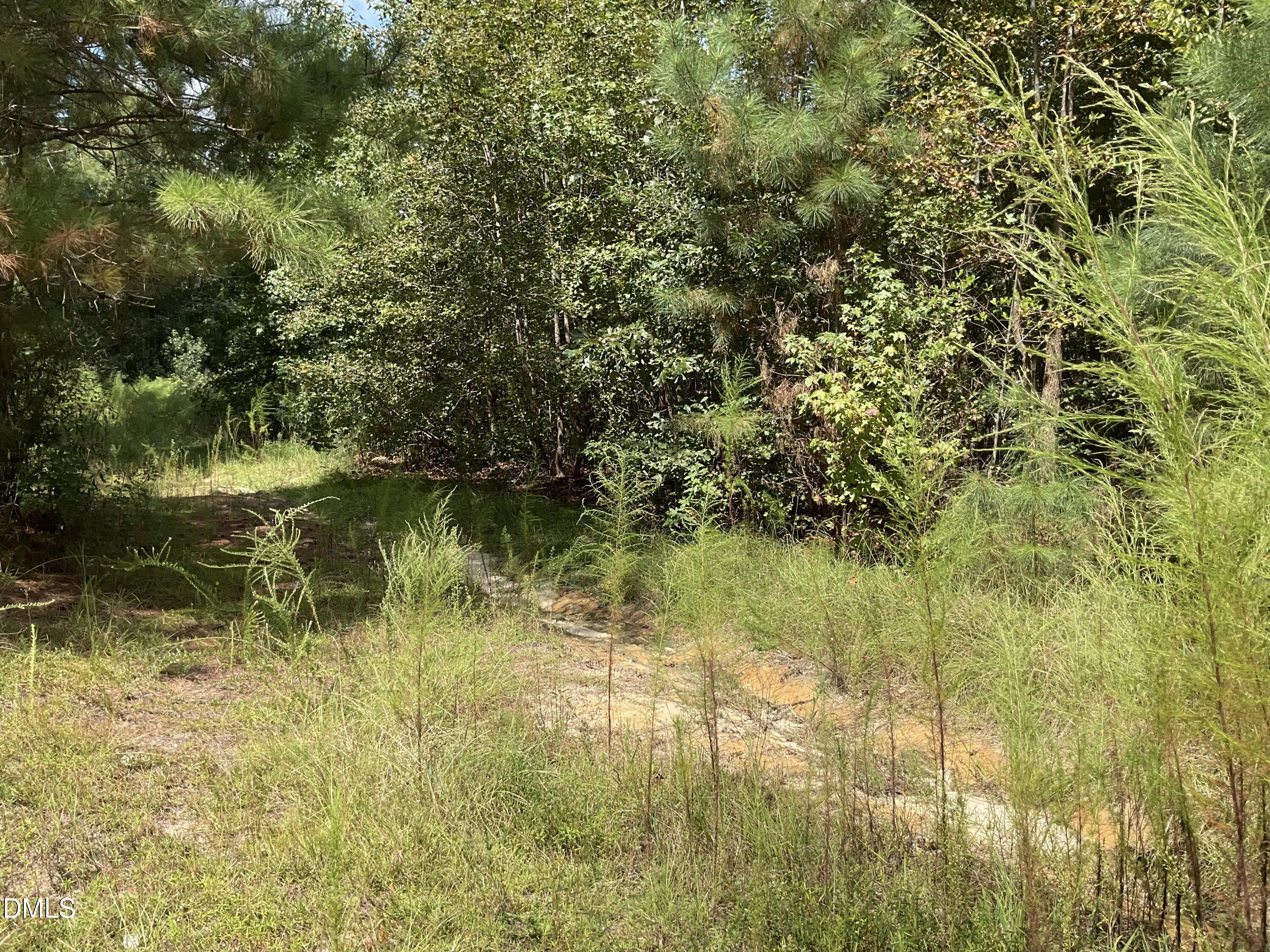 Land in Spring Lake 2