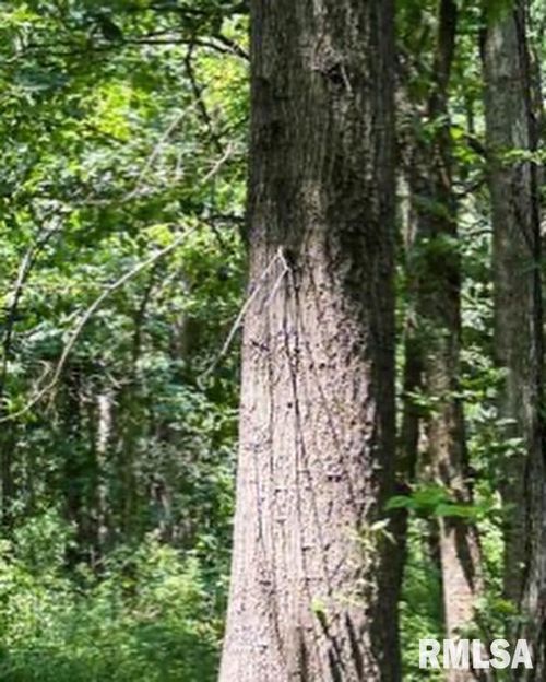 000 County Road 1225 E Roads, Fairfield, IL, 62837 | Card Image