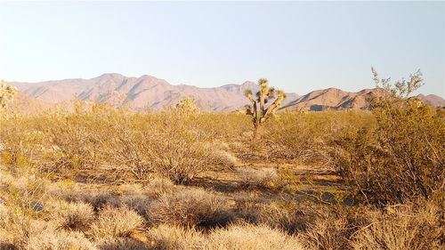 3501 Wild Bill Road, Yucca, AZ, 86438 | Card Image