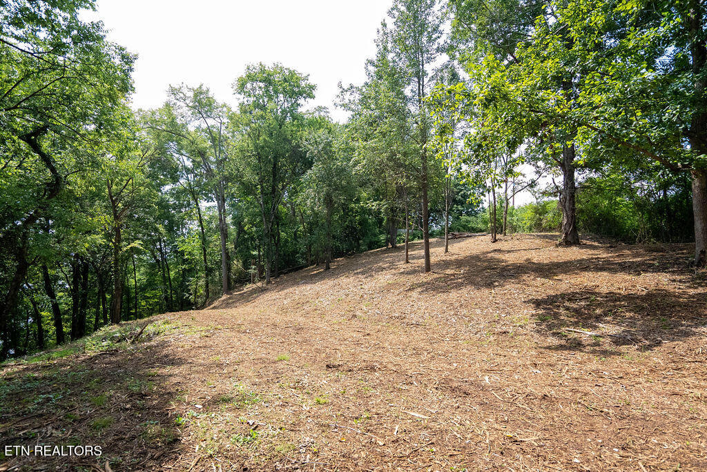 Land in Loudon 5