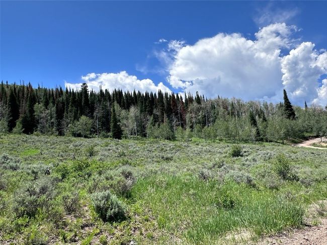 23910 Arapahoe Rd, Home with 0 bedrooms, 0 bathrooms and null parking in Oak Creek CO | Image 8