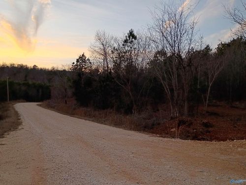Tract 3 County Road 176, Piedmont, AL, 36272 | Card Image