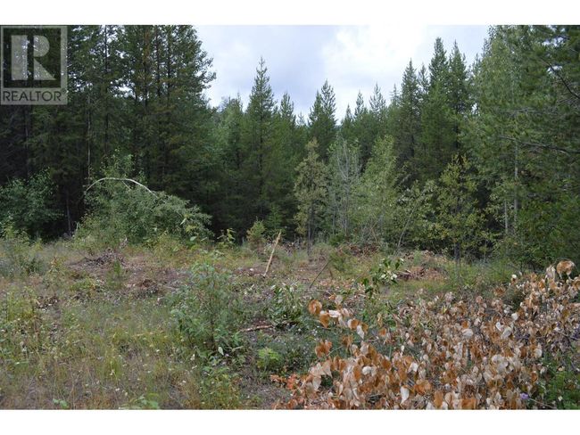 Lot 1 3 Rd St, Home with 0 bedrooms, 0 bathrooms and null parking in Kootenay Boundary BC | Image 13