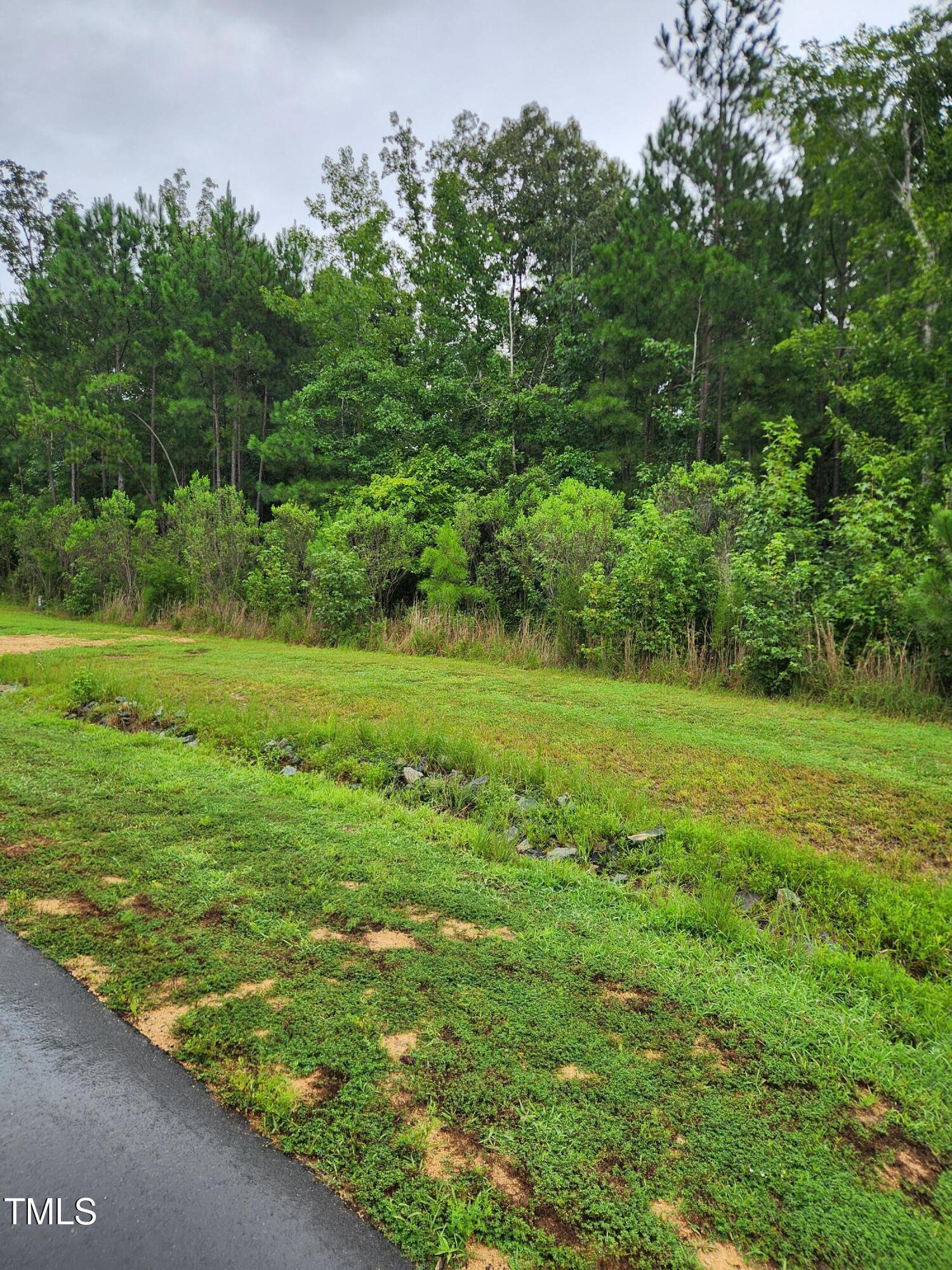 Land in Pittsboro 5