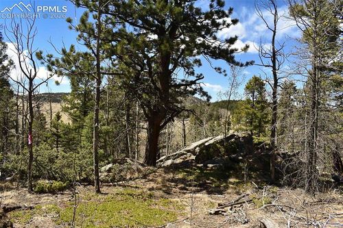 289 Timberline Drive, Guffey, CO, 80820 | Card Image
