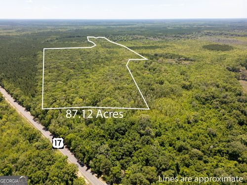 9047 S Coastal Hwy, Riceboro, GA, 31323 | Card Image