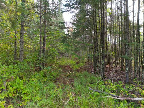 13450 S Swedish Hwy, Dairyland, WI, 54830 | Card Image