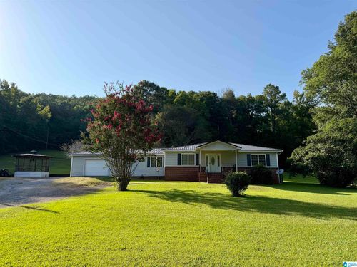 9721 Us Highway 11, Springville, AL, 35146 | Card Image
